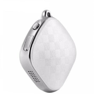 Micro GPS Trackers for Pets