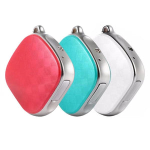 Micro GPS Trackers for Pets