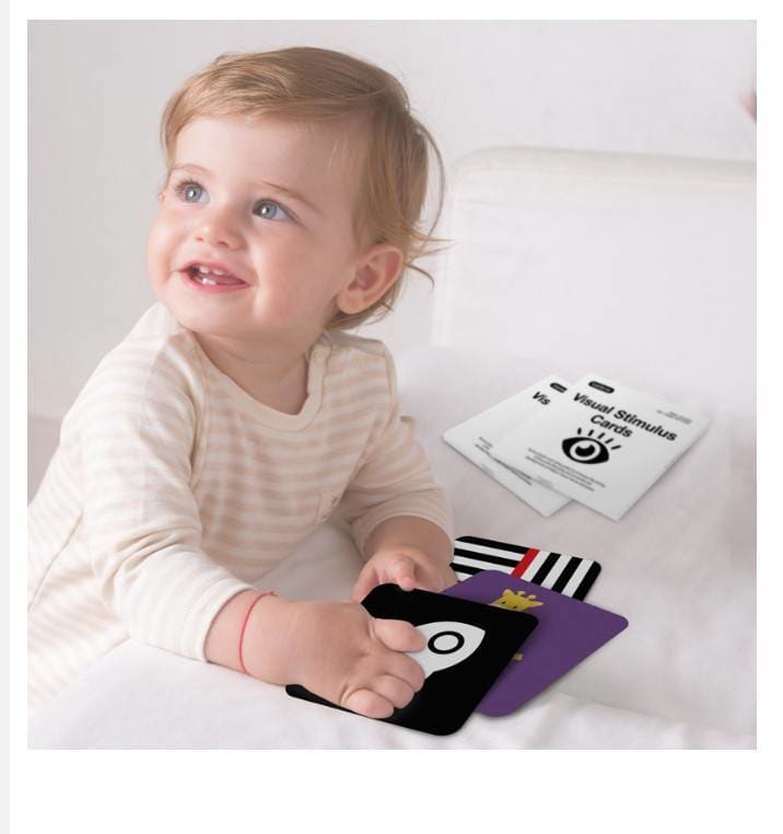 Montessori Visual Learning Cards Set - 4 Pcs x