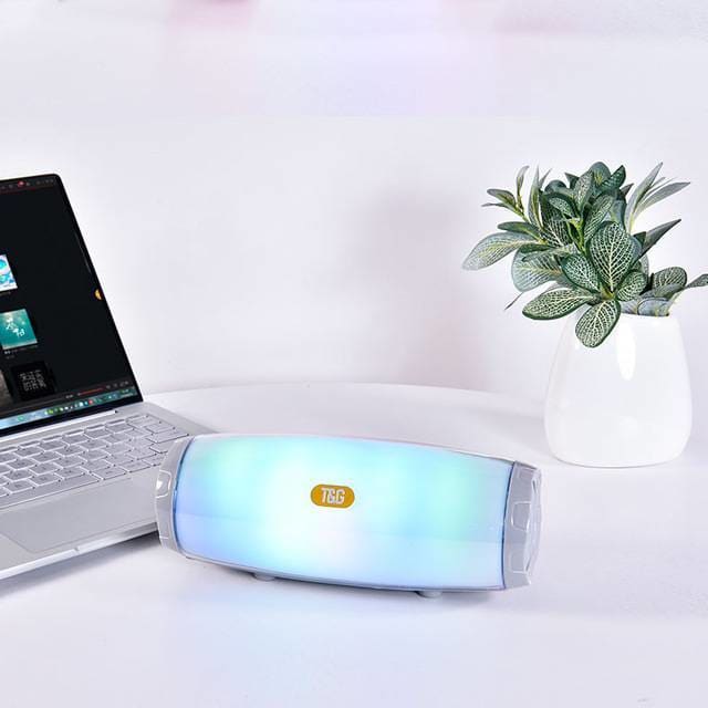 Portable Bluetooth Speaker with Radio - Metal / Gray